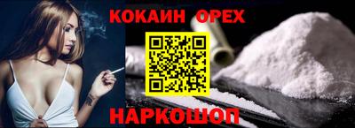 гидра Камышлов