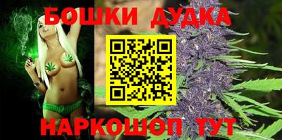 гидра Камышлов