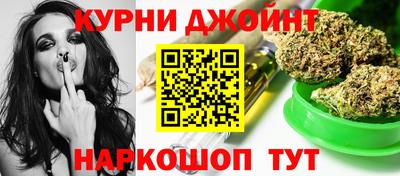 гидра Камышлов