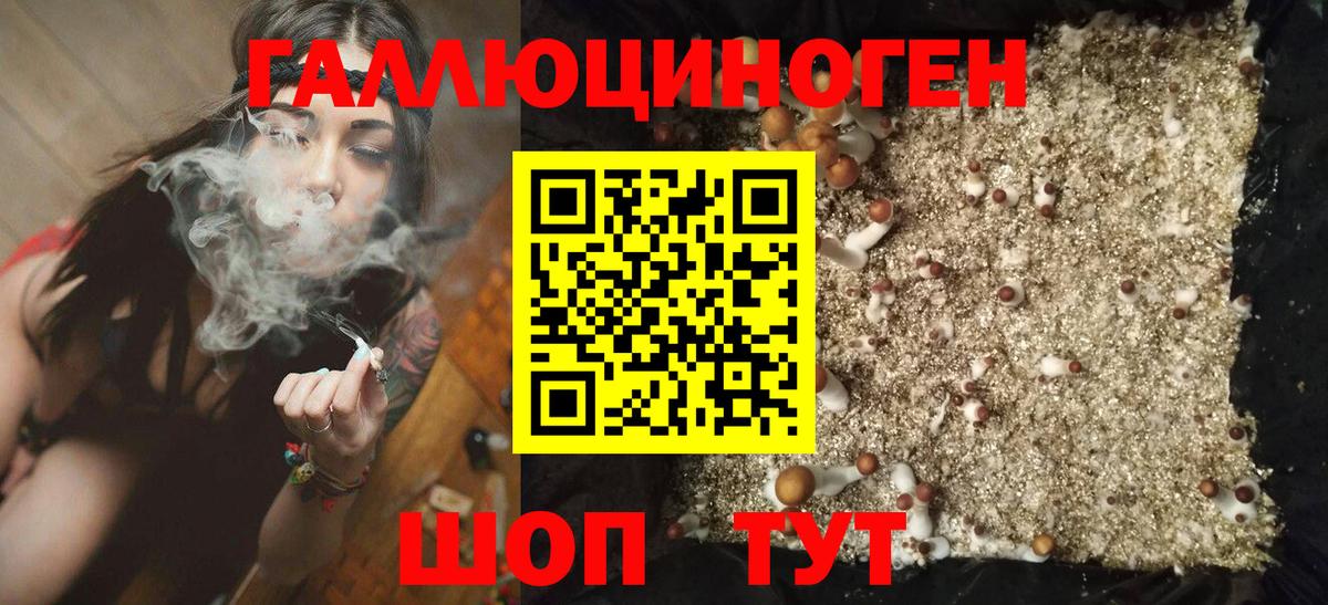 Канаш  Псилоцибиновые грибы мицелий  Вход с VPN  Псилоцибиновые грибы мухоморы 