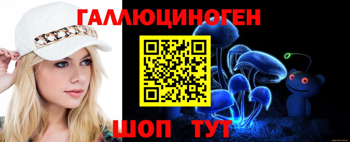 Галлюциногенные грибы Psilocybe Канаш